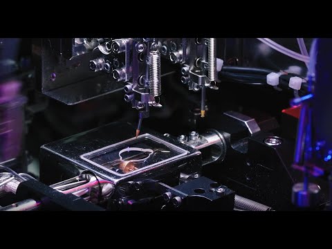 Arima Lasers Process Capability